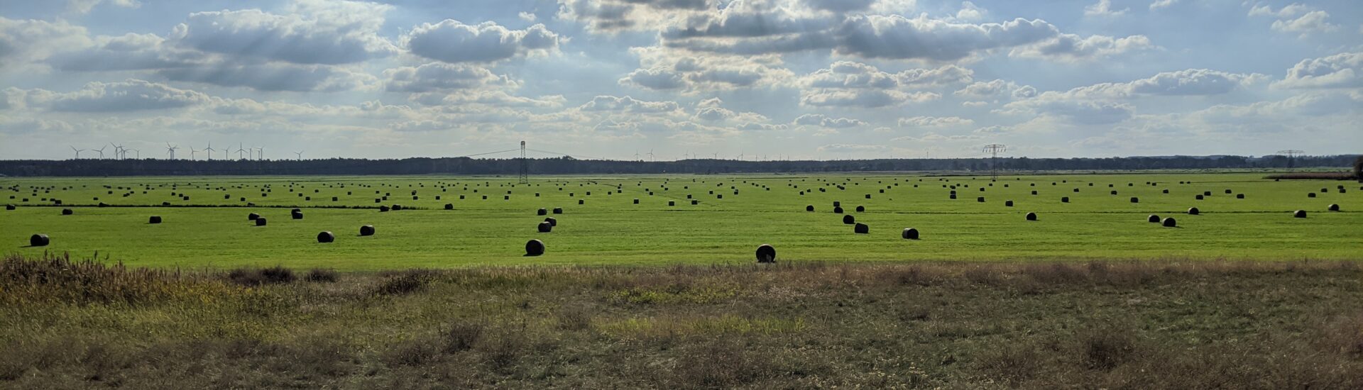 Ein Feld mit leicht bewölkt Himmel und Sonne