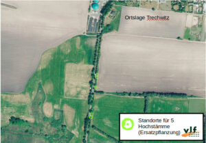 Standorte der Ersatzpflanzung
