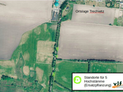 Standorte der Ersatzpflanzung